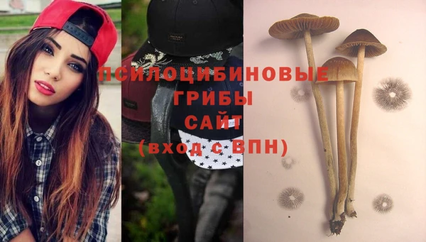 не бодяженный Армянск