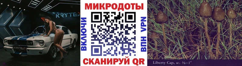 Псилоцибиновые грибы ЛСД  гидра ТОР  Ростов  закладки 